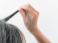 Canas: ¿cuándo empiezan a aparecer?