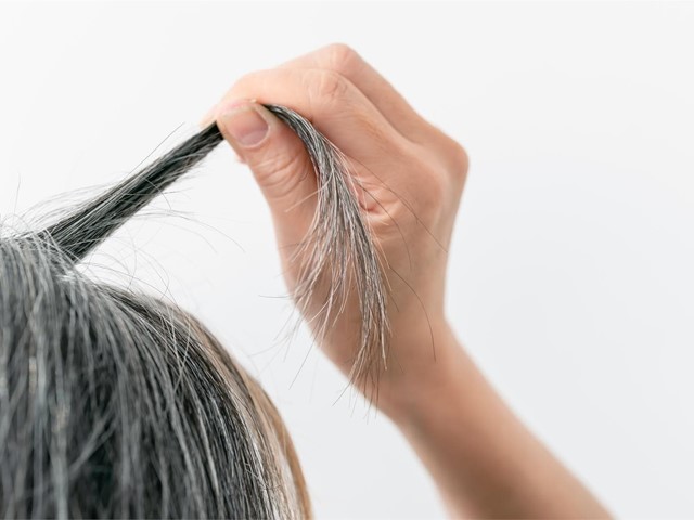 Canas: ¿cuándo empiezan a aparecer?